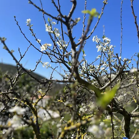 Casa Nabia - Surf & Nature Nocleg ze śniadaniem *