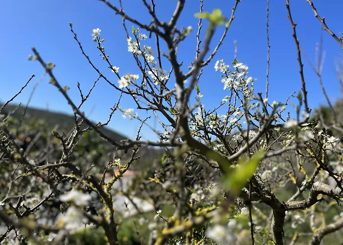 Casa Nabia - Surf & Nature Couette-café *