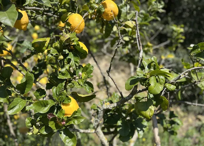 Casa Nabia - Surf & Nature Couette-café Ericeira